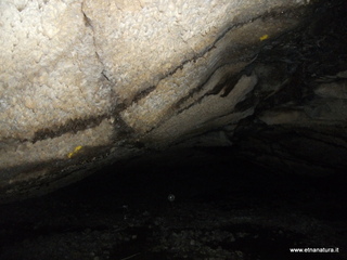 otta Petralia-17-03-2013 10-03-49